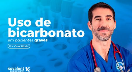 Uso de bicarbonato em pacientes graves – Gasometria veterinária