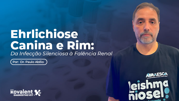 Ehrlichiose Canina e Rim: Da Infecção Silenciosa à Falência Renal