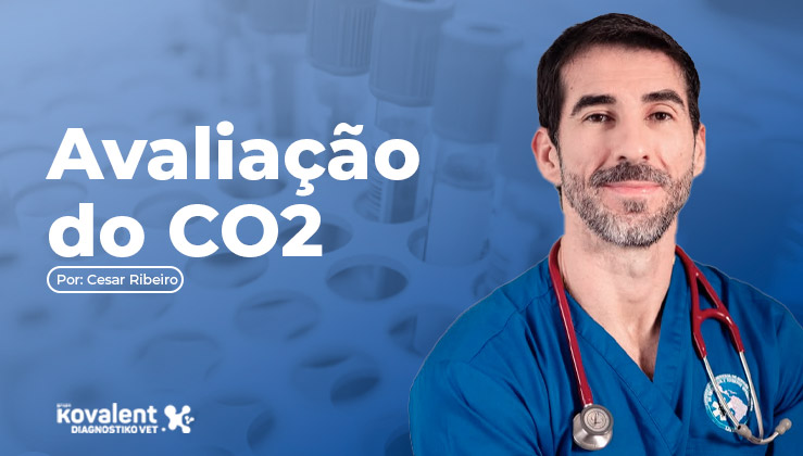 Avaliação do CO₂ na Gasometria: Integração entre Ventilação e Perfusão