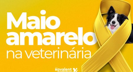 Maio Amarelo na Veterinária: por que o diagnóstico precoce é a nossa maior ferramenta.