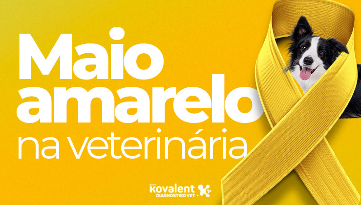 Maio Amarelo na Veterinária: por que o diagnóstico precoce é a nossa maior ferramenta.