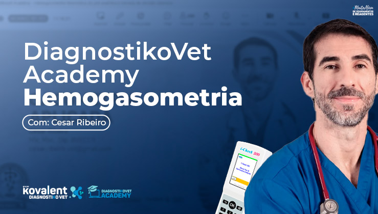 DiagnostikoVet Academy dá início ao maior curso de Hemogasometria Veterinária do Brasil